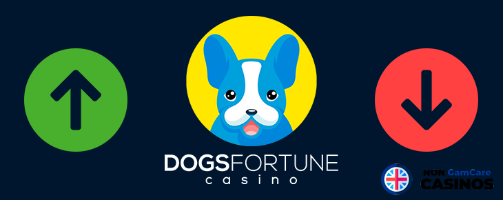 dogsfortune Casino pros and cons